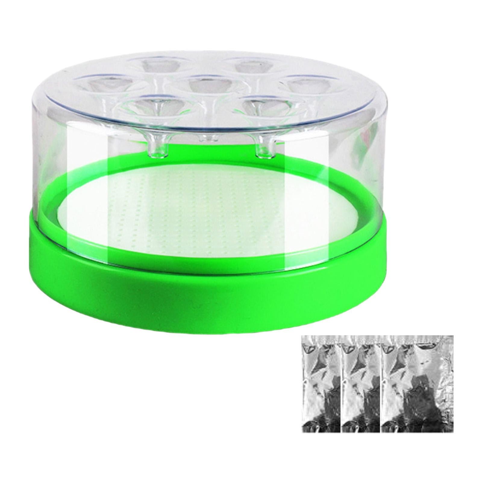 Fly Trap One-Way Funnel Chemical-Free Fly Catcher with a Packet Bait (1pc+3bait)