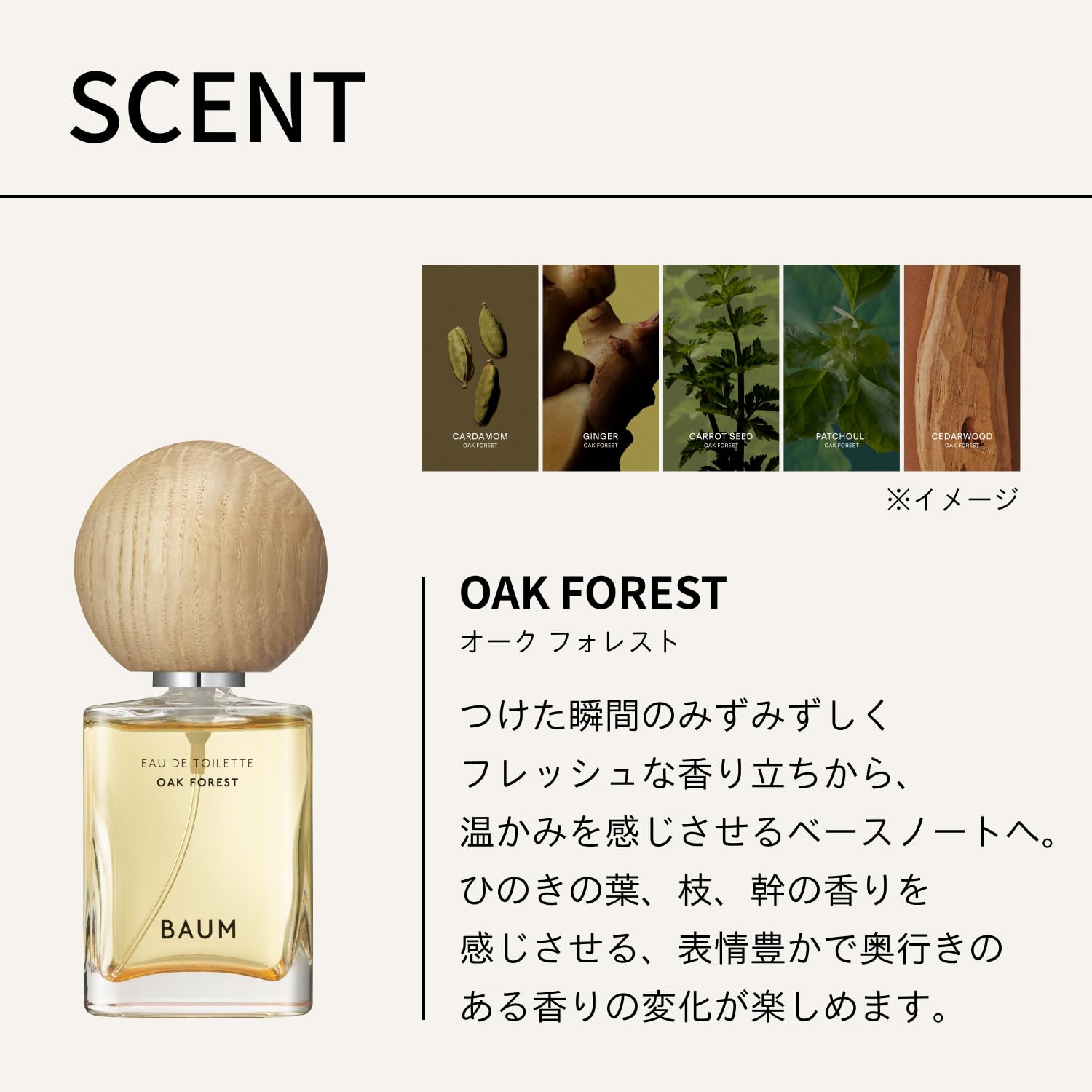 香水(ユニセックス) BAUM EAU DE TOILETTE OAK FOREST 60ml Amazon.co