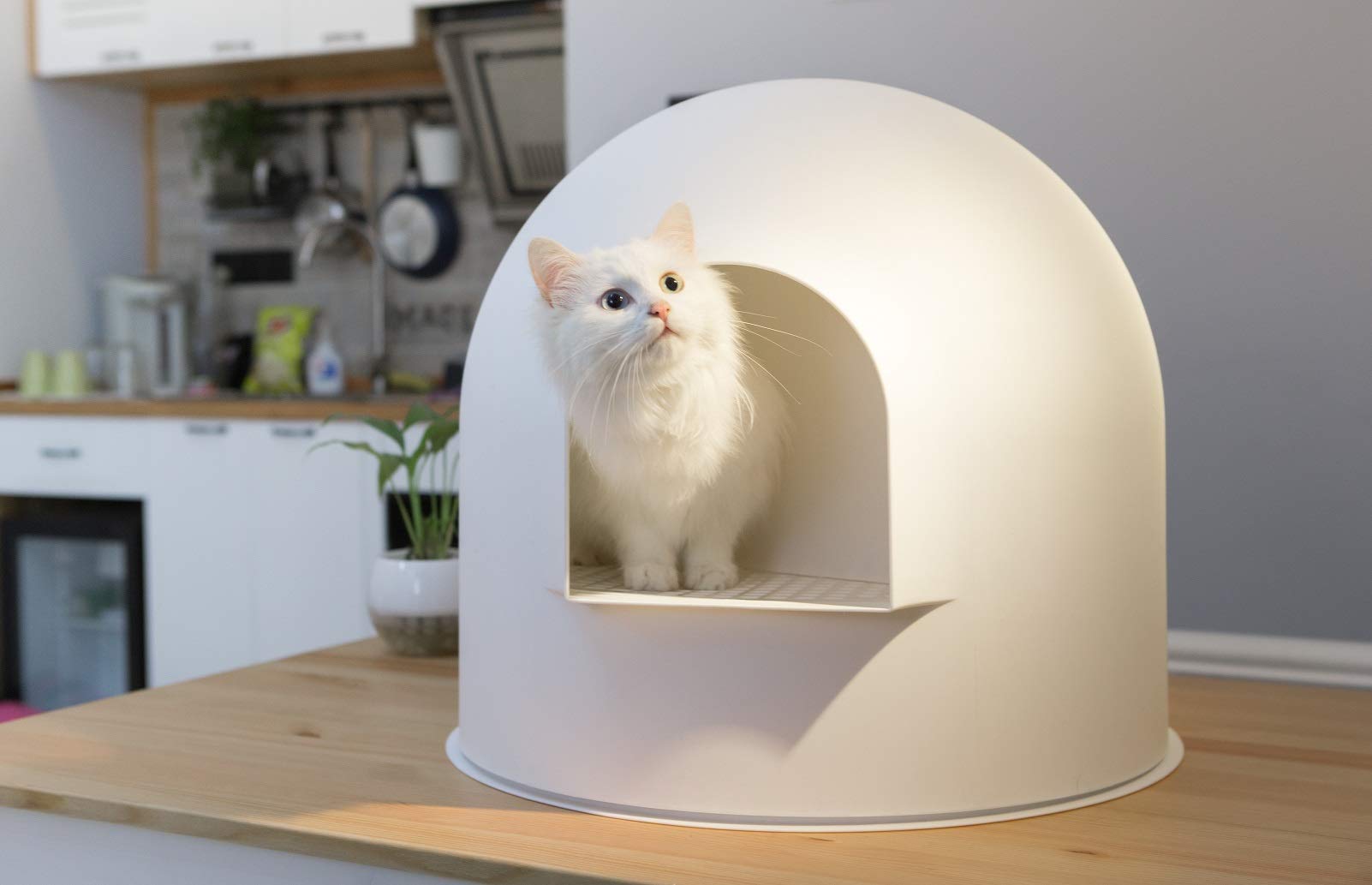 pidan Igloo Cat Litter Box Dome Litter Box Extra Large Igloo Litter Box