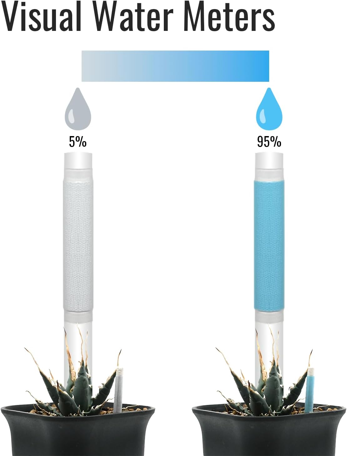 Aquameter – Soil Moisture Meter for Caudex Plant, General Plant, Gardening & Farming, Indoor & Outdoor, Beginner-Friendly (12 PCS)