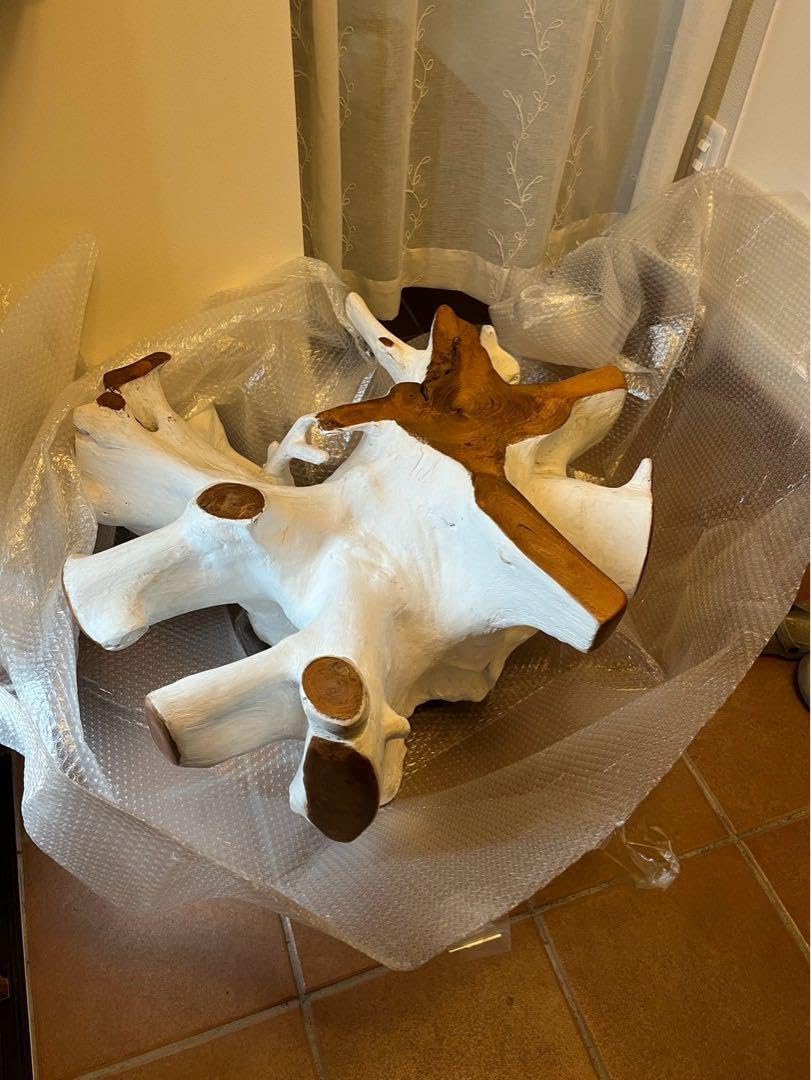 【ぽん】kaja 古木ルーツテーブル（Φ80）(ホワイトカラー) チークの根っこをそのまま活かした独創的なデザイン ルーツ