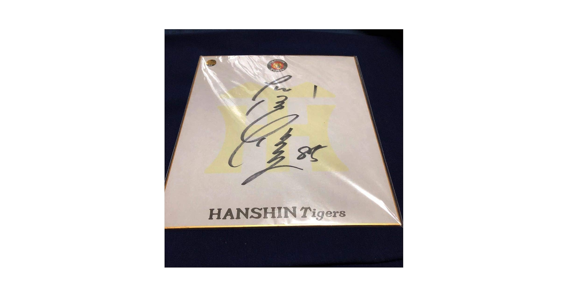 Amazon.co.jp: 激レア希少品阪神タイガース 広澤克実 コーチ時代