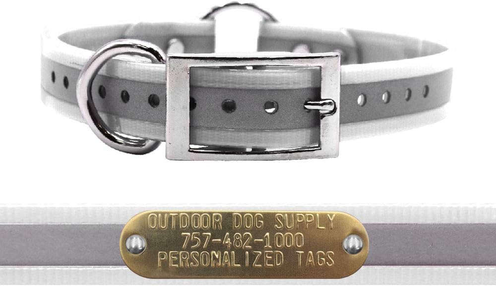 Outdoor Dog Supply's 1" Wide Reflective Ring in Center Dog