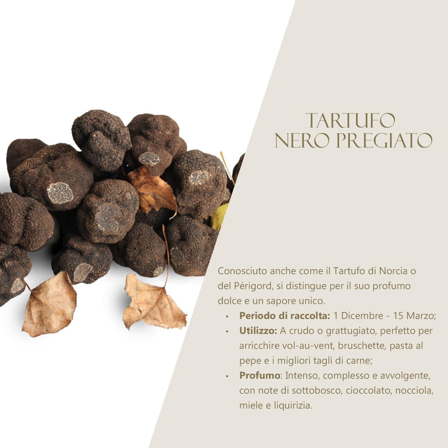 Huile d’Olive Extra Vierge à la Truffe Noire de Qualité avec Coffret - 250ml | Fabriqué en Italie | Condiment Gourmet avec Truffe Noire en Tranches