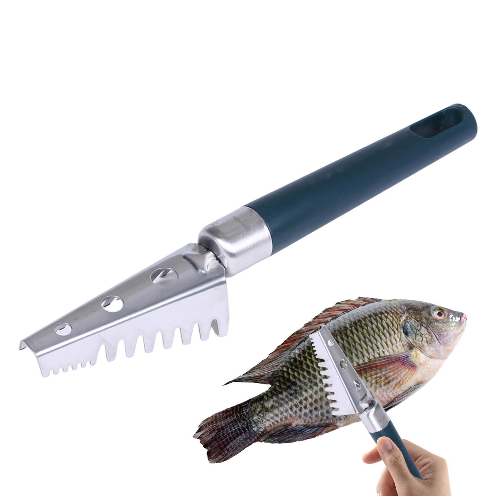 2 Raschietti Per Carne Di Cocco In Acciaio Inox - Multiuso Per Pelare Pesce, Grattugiare E Affettare - Utensili Da Cucina Professionali - 4