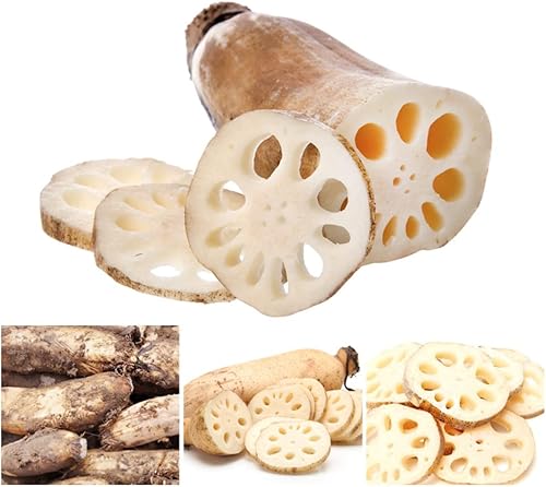 Miniatura 3 de Polvo de extracto de raíz de loto puro natural orgánico -10.58 onzas (10.58 oz)