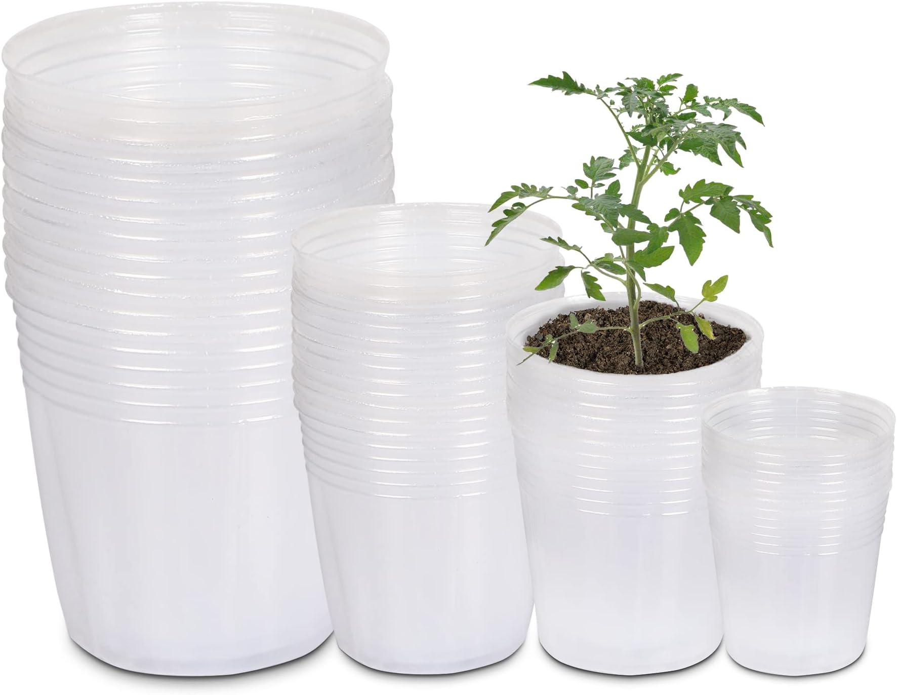 UPINS Clear Nursery Pots 40 Packs 3/4/5/6 Inches Plant Pots with Drainage Hole Seedling Transparent Plastic Gardening Pots Durable Seed Starter Pots Reusable for Plants Vegetables
