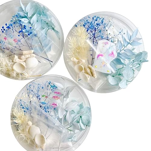 yʃJ[z n[oE ԍ A\[g Zbg nEB NX}X Xmas a  hCt[ vU[uht[ ԍރZbg lC lߍ킹  nhCh H  wAp[c ԑ W t[AW[X L