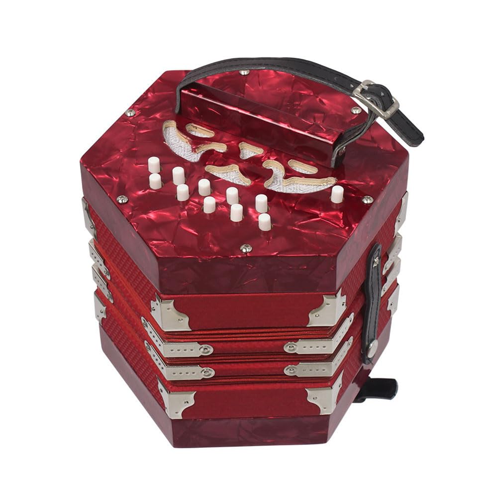 Ziehharmonika-Instrument, Professionelle Ziehharmonika 20 Tasten 40 Reed mit Tragetasche mit Aufbewahrungstasche für Kinder Erwachsene