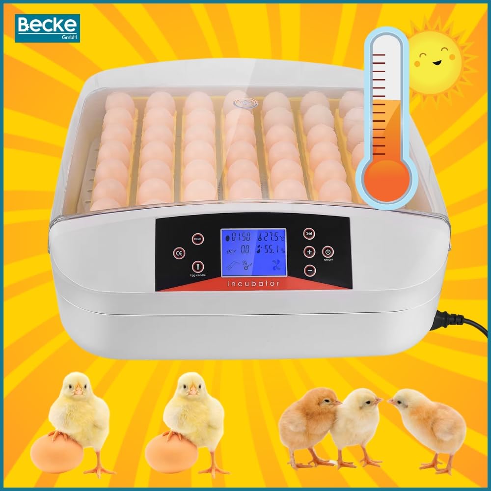 ZOLTA Automatischer Inkubator für 56 Eier LED Ei Tester Temperatur Feuchtigkeitsregler Alarm Hühner Gänse Wachteln Enten Drehfunktion Brutmaschine Brüter Brutkasten mit Display und Zubehör