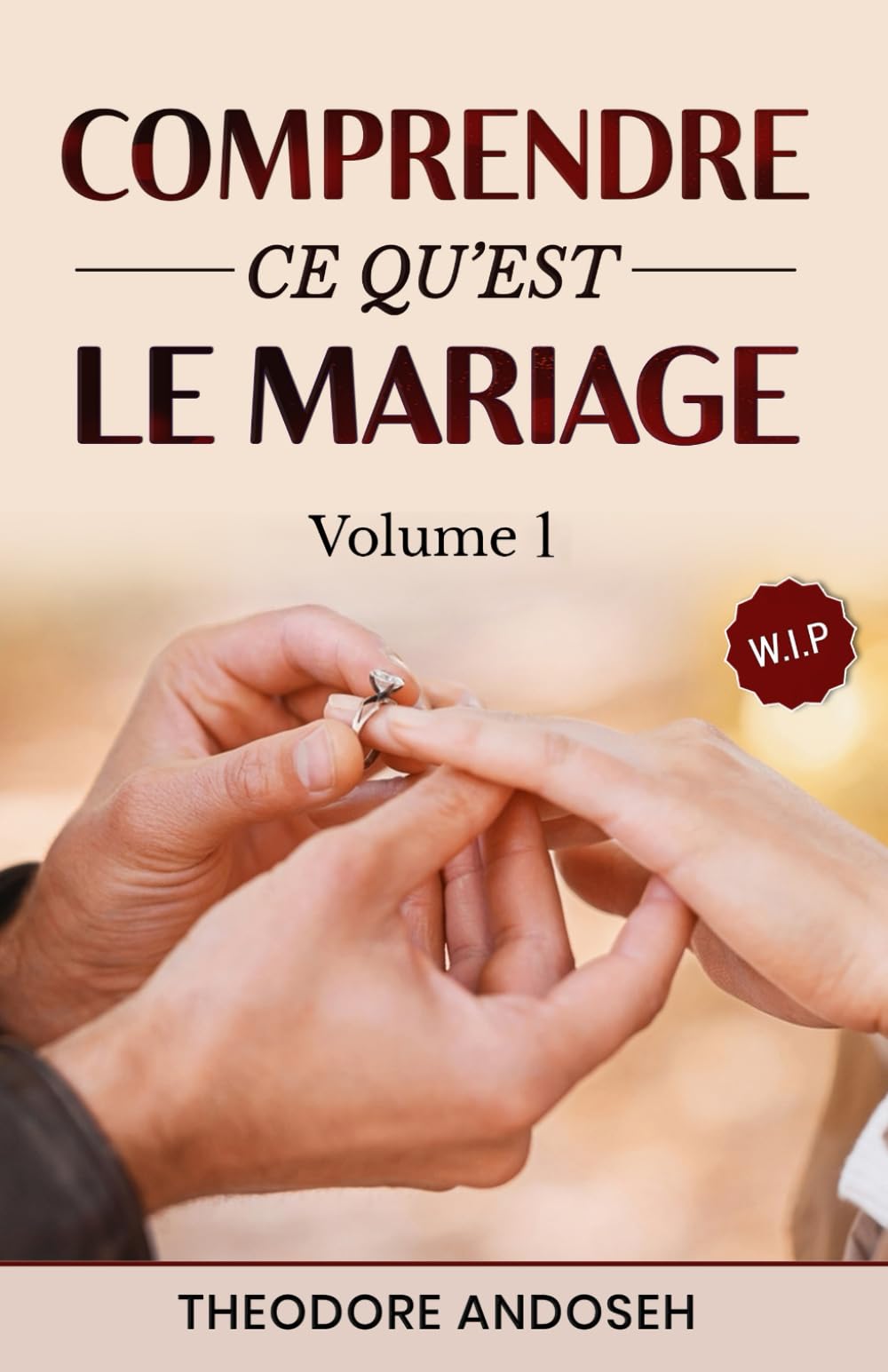 Comprendre ce qu’est le mariage (Volume 1) (Dieu, le Sexe et Toi) (French Edition)