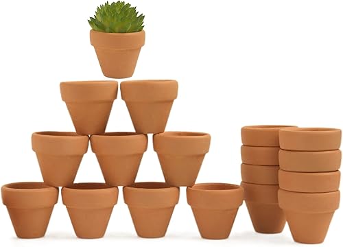 Mini macetas de terracota con agujeros de drenaje, maceta de cactus suculenta de 1.2 pulgadas, macetas pequeñas de arcilla para cactus pequeños disponible en Yaxa Peru