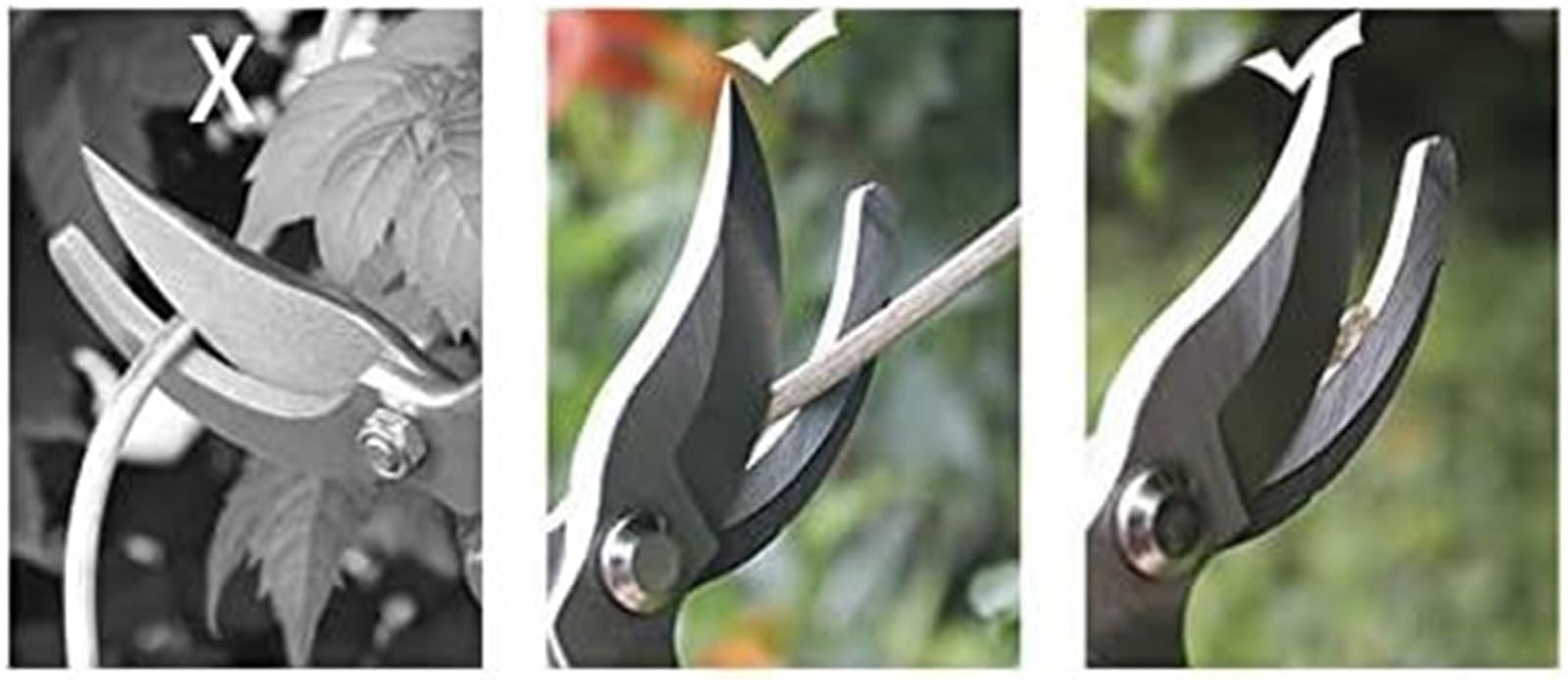 Baumschere， Gartenschere, Gartenschere, Gartenschere, Gartenschere, Gartenschere, Gartenschere, Gartenschere, Gartenschere, Gartenschere, Gartenschere