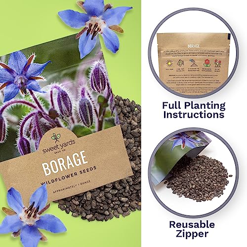 Borage Seeds – Extra Large Packet – Over 1,200 Open Pollinated Non-GMO Wildflower Seeds – Borago officianalis - Image 5