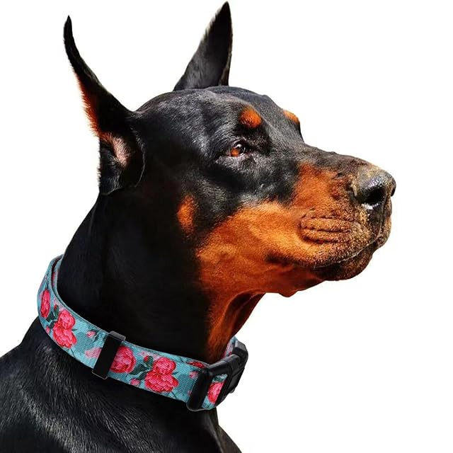 Foto 6 de 7 de Rhea Rose Collares de verano para perro con estampado floral de rosa, collar de flores femeninas, turquesa