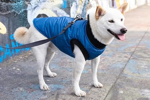 Gooby G21 Bomber Dog Jacket - Blue, X-Small - Winter Waterproof Zip Up Dog Sweaters For Small Dogs With Dual D Ring Leash - Warm Windproof Small Dog Clothes - Dog Sweater For Small Dogs To Medium Dogs #TOP4