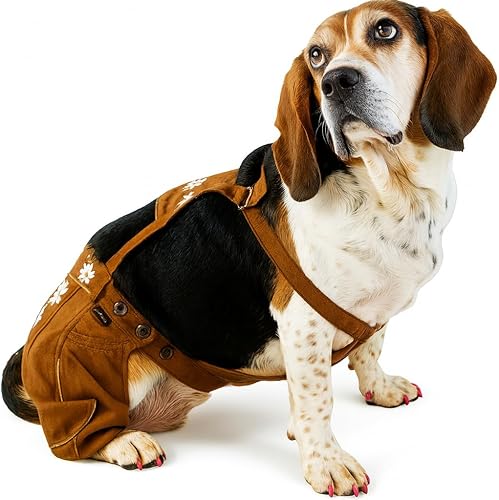 EINSZWEIDOG Oktoberfest - Lederhosen para perros alemanes, varios tamaños (7XL)