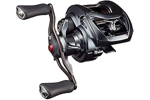 DAIWA TATULA SV TW Right/Left Handle Baitcasting Reel 2020