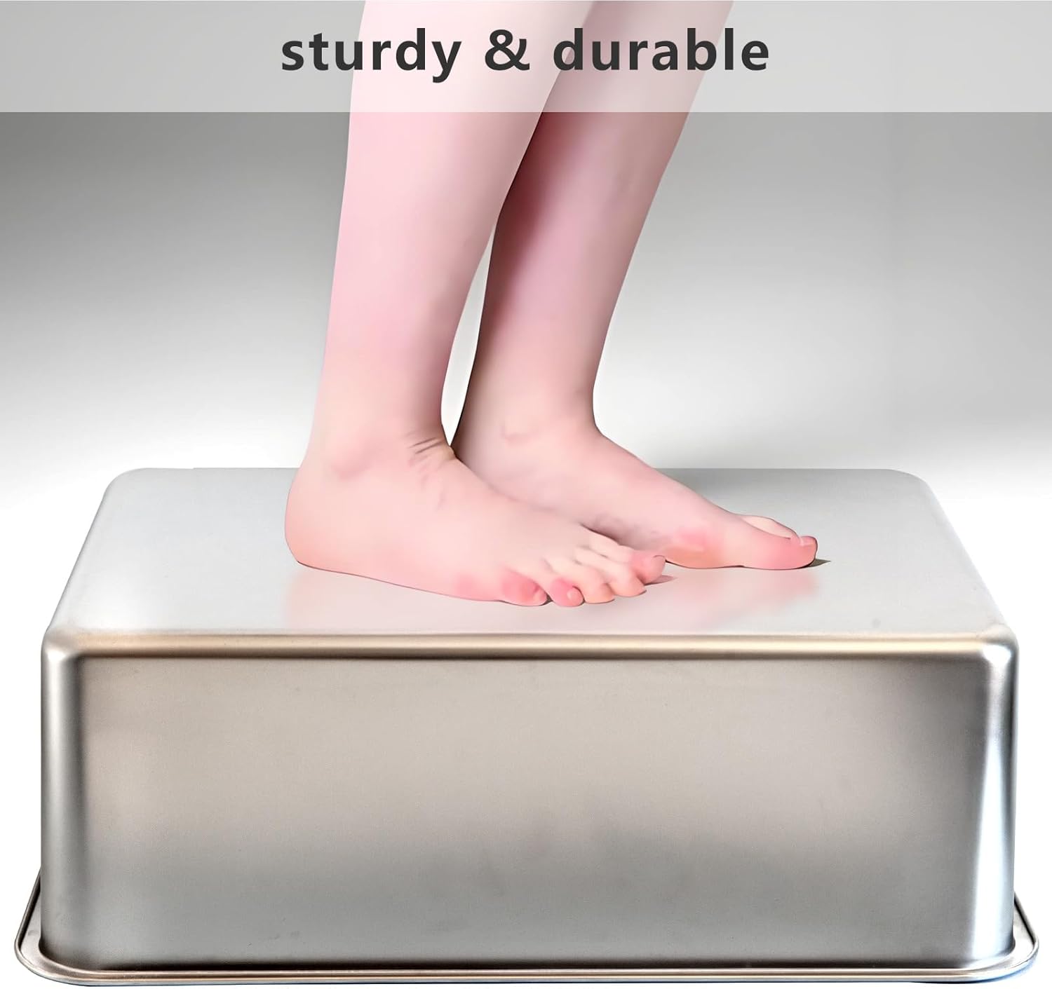 2-Pack Stainless Steel Cat Litter Boxes, Includes Catnip Fish Toy & Wand Feather Toy Refill, Easy to Clean, Pet Toilet Supplies for Kitten, Kitty, Rabbit, Metal Litter Pans for Multi-Cat Homes