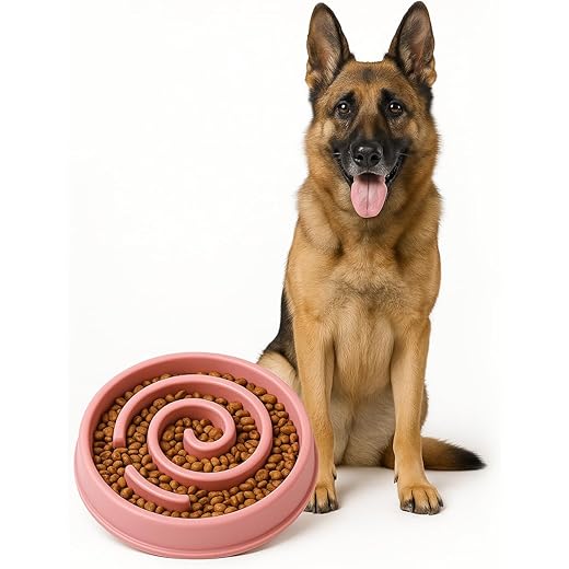 Petbabas Slow Feeder Bowl - Pink