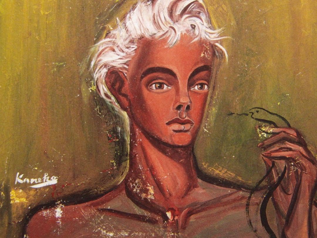 金子 國義、オルぺウス、厳選、希少画集・額装画、人気作品、アート Amazon.co.jp: 金子 國義、オルぺウス、厳選、画集額装画、人気作品