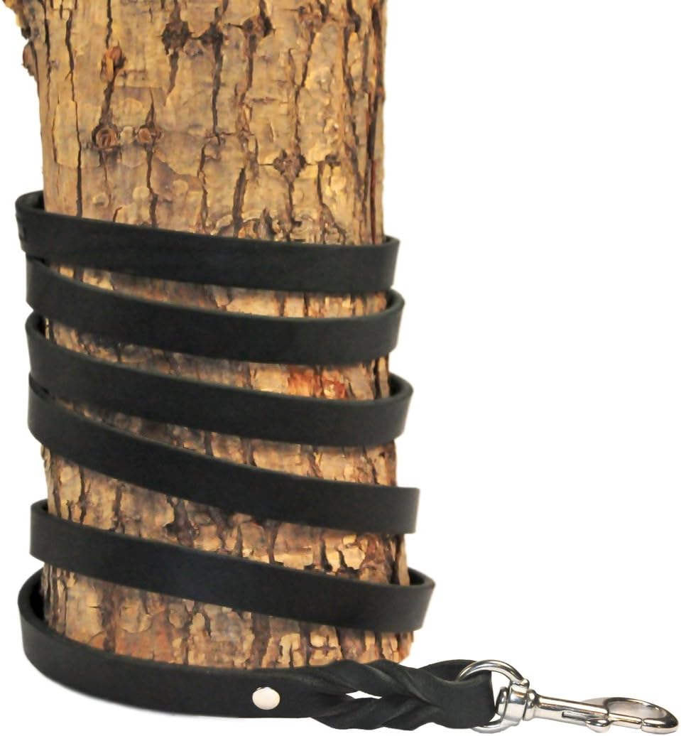 Dean & Tyler Track Dog Leash with Braided Ends, 45-Feet by 3/8-Inch with Steel Hardware, Black