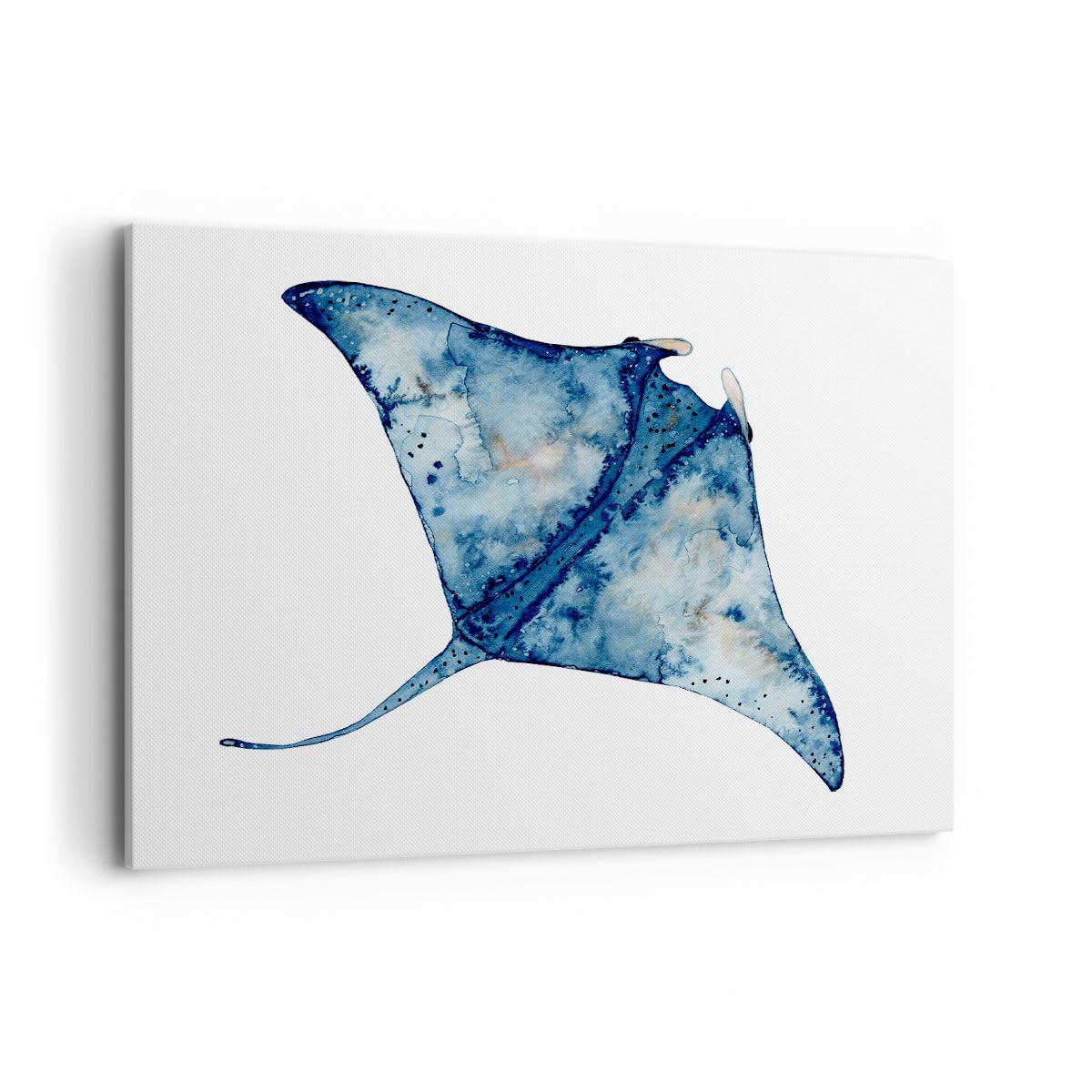 Lienzos decorativos 100x70cm Cuadro Sobre Lienzo Moderno Mantarraya Pez Estilo Costero Grande Dormitorio Cocina Cuadros Pared Imágenes Cuadros Decoracion Salon Wall Art Prints Decor AA100x70-5407