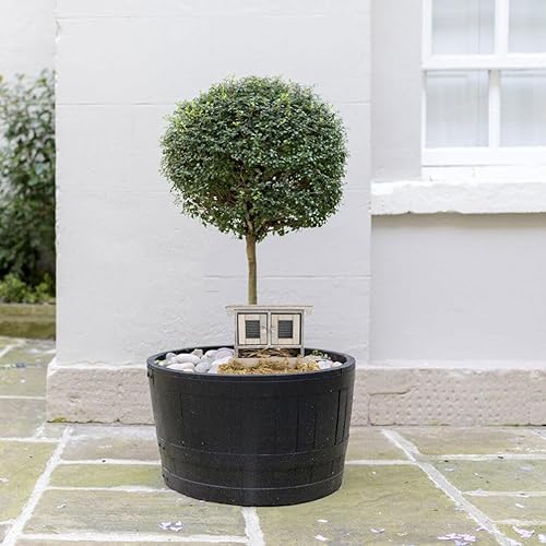 Miniatura 7 de PRETYZOOM Casa de muñecas Gallinero 2pcs Mini Madera Familiar Gallinero Miniatura Gallinero Casa Bonsái Decoración Casa de Muñecas Jardín Accesorio