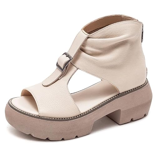 [Cociliye] OfBG[^[T_ fB[X T_  5cm {v y ₷ ~ r   ʋC K L Ȃ A[`T|[g EH[LO C JWA ʋ ʊw ItBX 22.5cm~25cm