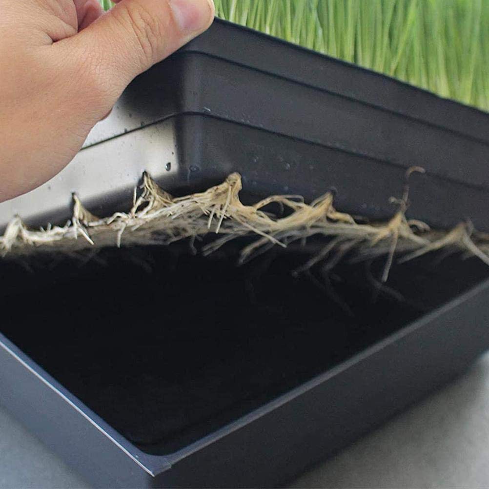 Bandejas de cultivo de plantas, 2 bandejas de inicio de propagación para plantas con agujeros de drenaje, parte inferior de malla para germinación de plantas