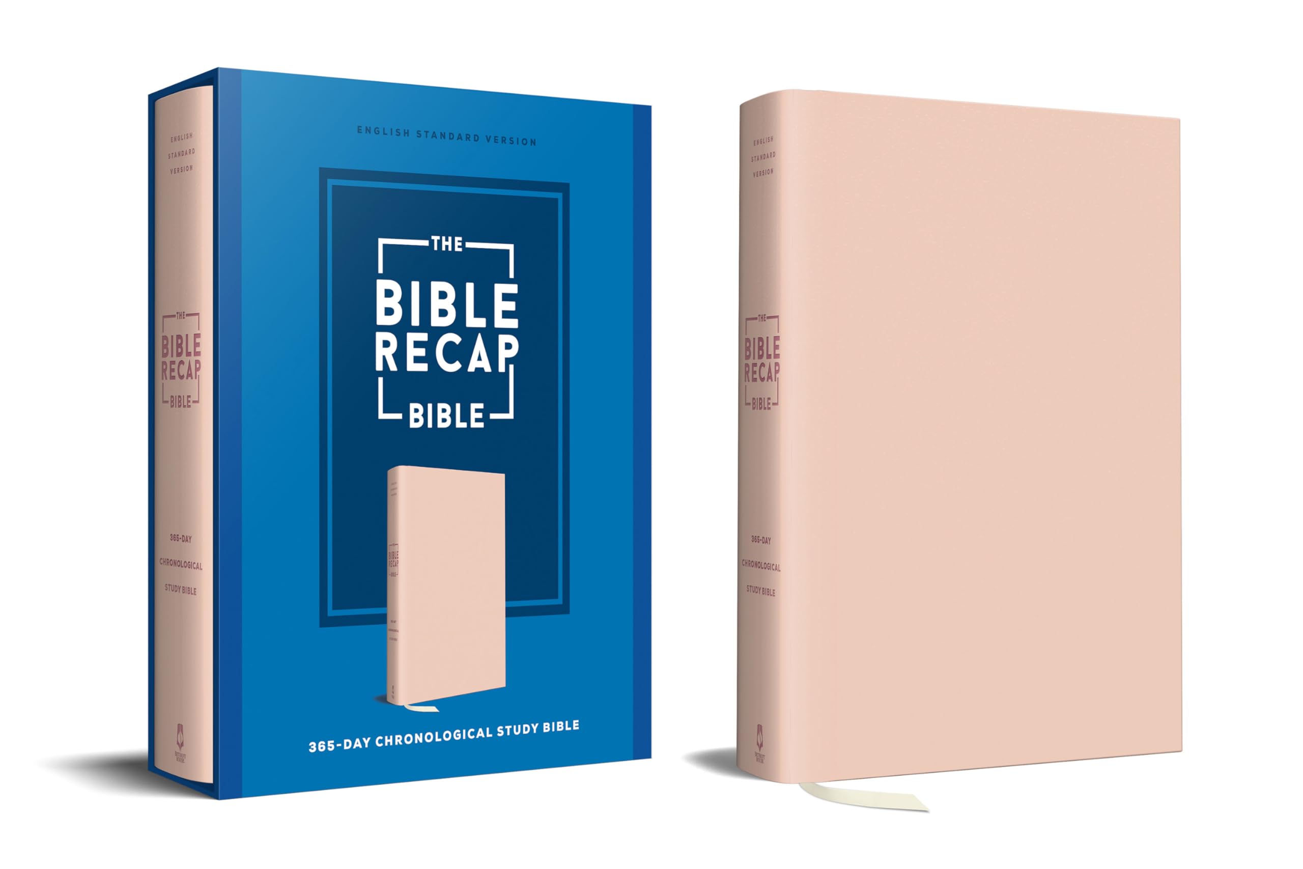 The Bible Recap 365-Day Chronological Study Bible: English Standard Version - Imitation Leather, Pink