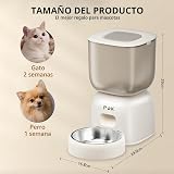 Ver la foto 8