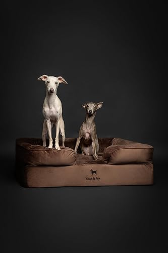 Miniatura 5 de NOAH & PAW Cama grande para perro, 35 x 25 x 11 pulgadas, camas ortopédicas para perros, espuma viscoelástica con cáscara de huevo con gel