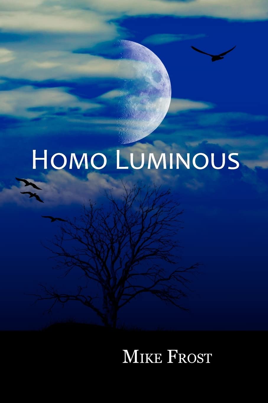 Homo Luminous
