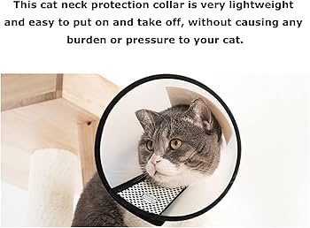Amazon | 猫 エリザベスカラー 柔らかく快適 猫首保護首輪 傷