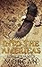 Into the Americas (A novel based on a true story)
