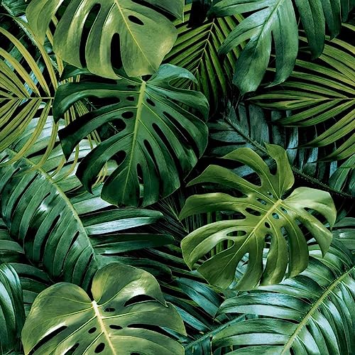 Living Wall Green Wallpaper - Tropical Botanical Jungle Leaves - Modern Contemporary Feature Wall