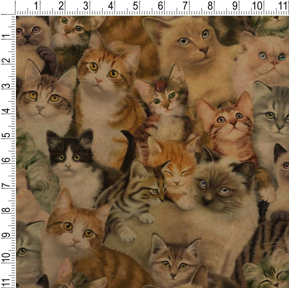 GRAPHICS & MORE Plethora of Cats and Kittens Pattern Premium Kraft Roll Gift Wrap Wrapping Paper