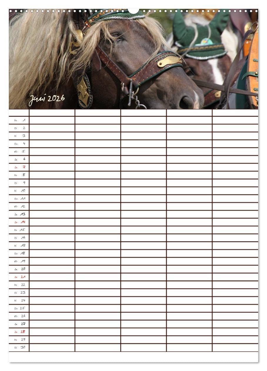 Der Kaltblut-Familienplaner (Wandkalender 2026 DIN A2 hoch), CALVENDO Monatskalender: Der Kaltblutkalender für die ganze Familie (CALVENDO Tiere)