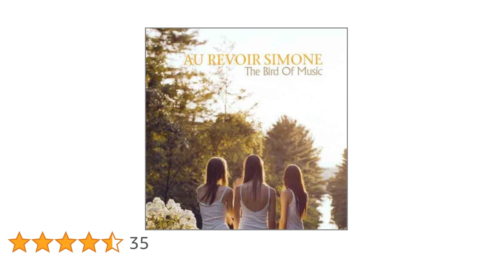 AU REVOIR SIMONE The Bird Of Music レコード Au Revoir Simone: The Bird of Music Album Review | Pitchfork