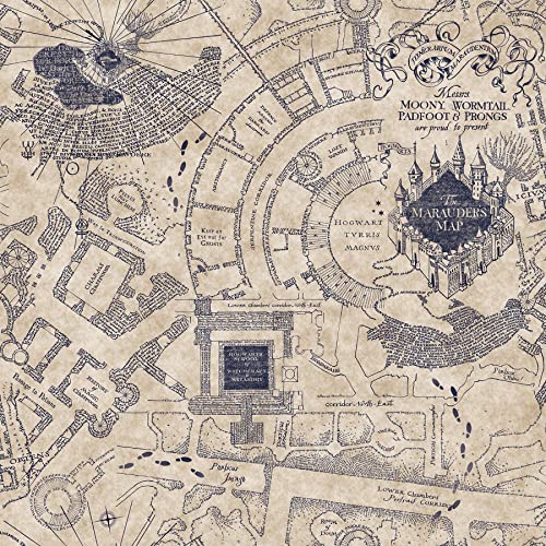 RoomMates RMK12436RL Blue Harry Potter Marauder's Map Peel and Stick Wallpaper