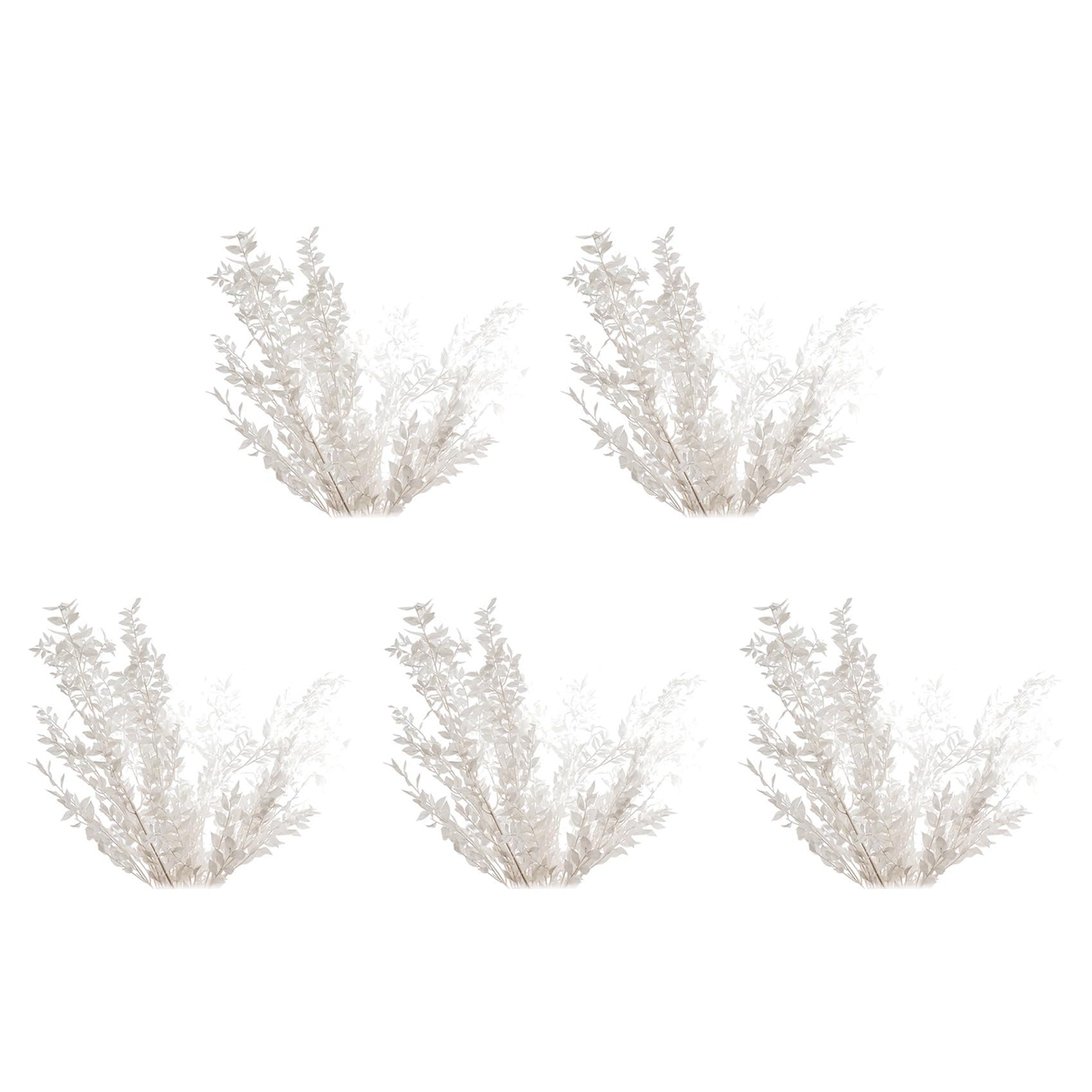 5X 45 cm SéchéEs pour Toujours ConservéEs Ruscus Fleurs Bricolage Décoration Florale Bouquet de Fleurs Sèches pour Mariage Décor à