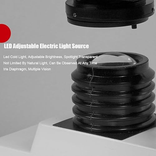 Miniatura 3 de Microscopio 40X-2000X compuesto óptico de laboratorio profesional monocular biológico conjunto de microscopios biológicos gruesos y finos