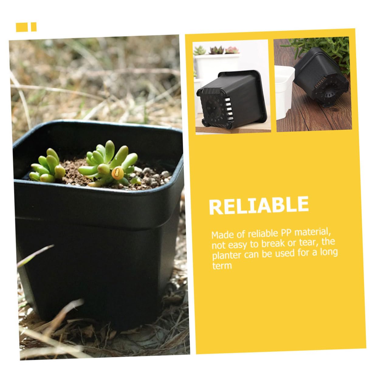 Kisangel 60 Pièces Pot De Semis Jardinière De Départ Pots De Plantes s De Plantation Polyvalents ES pour L' Jardinière Succulente De Fleur Mini PP