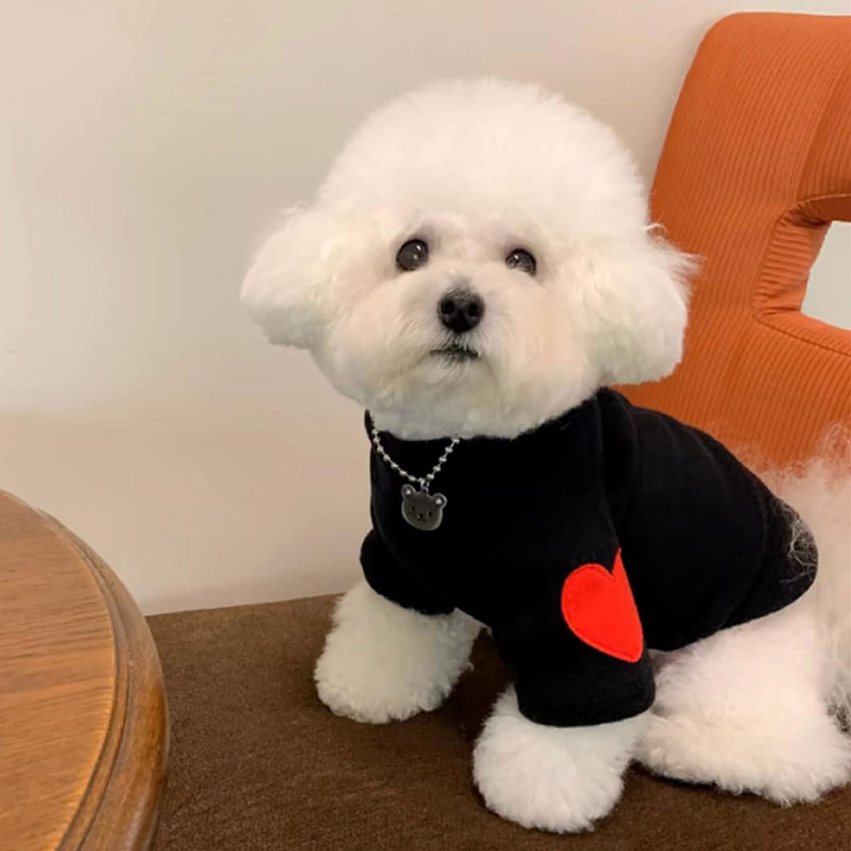 SamHeng Dog Sweatshirt Turtleneck Small Dog Hoodie Fleece Inside Dog Jumper Pet Dog Cat Sweater Pullover Warm Dog Clothes with Heart Print for Teddy Chihuahua Schnauzer Indoor Outdoor Wear (Black-M) - Image 3