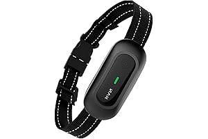 Innovative Dog Training Collar