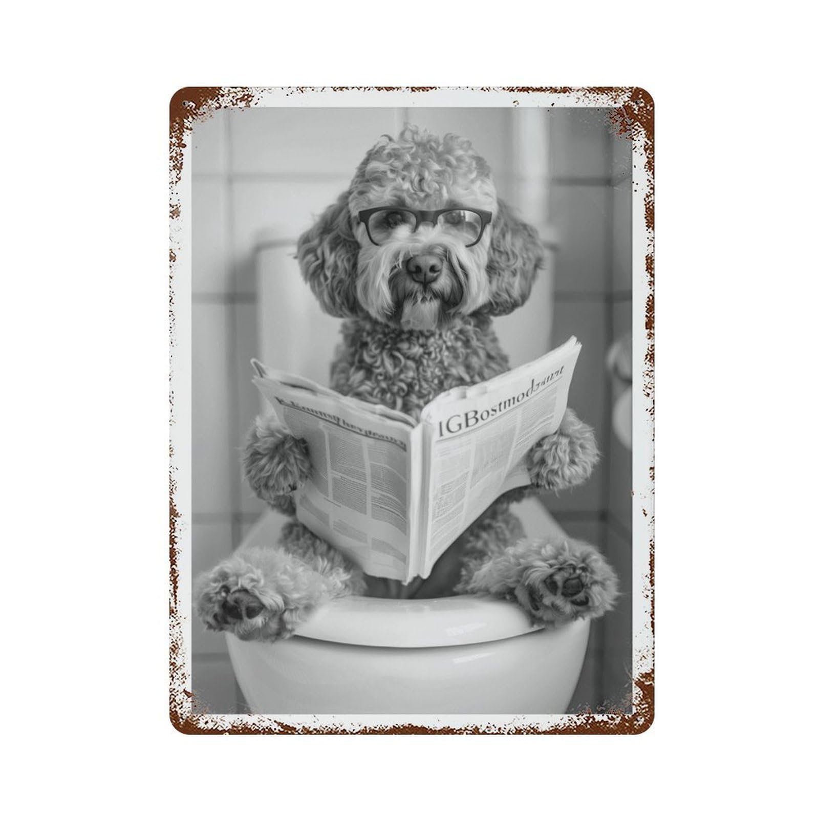 xiaoxiaoshen Funny Labradoodle Bathroom Dog Reading Newspaper Wall Decor Art Metal Tin Poster Modern Home Decor Art Home Bar Shop Decorations Vintage Sign 40x30cm