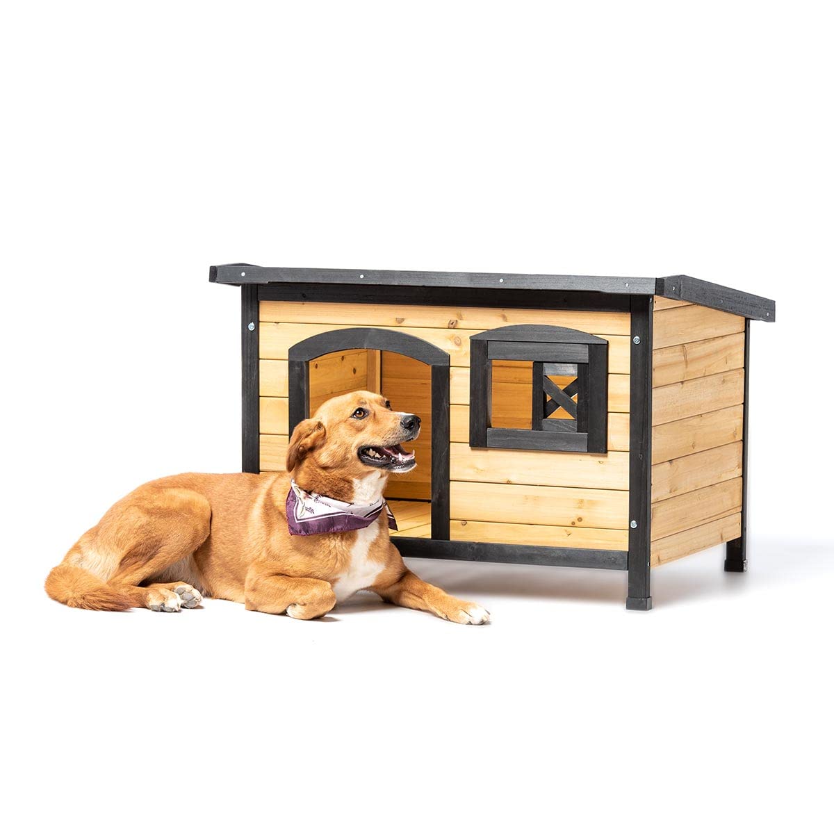 ATAA Caseta de Madera Eco-Responsable para Perros Toby - Negro-Refugio de Madera para Perros, Ideal para el Exterior, jardín y Patio con Ventanas y Techo Amovible