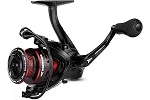Royale Legend II Spinning Fishing Reel: Dependable Performance for Fishing Enthusiasts