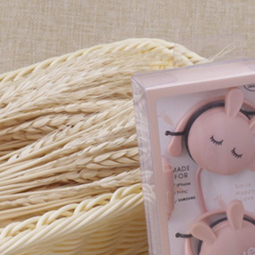 Dibujos animados Animal Ear Hook 2.5mm Wired Auricular Deporte Correr Auriculares Estéreo Niños Niñas Auriculares Rosa